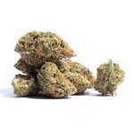 Katsu Bubba Kush